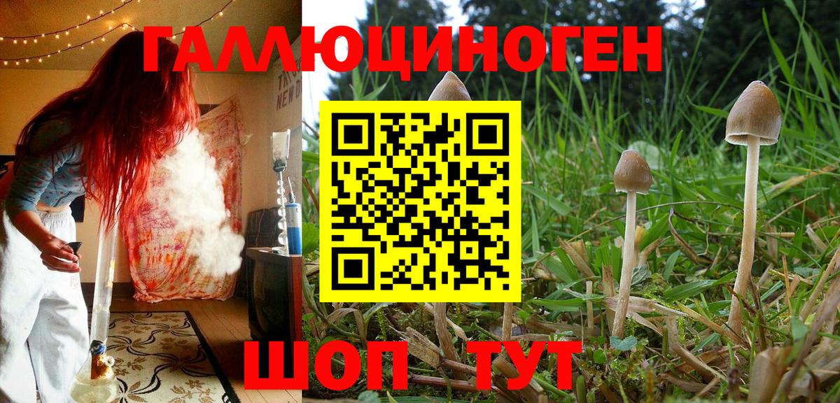 Галлюциногенные грибы Cubensis  Псилоцибиновые грибы Psilocybe  Кимры  Вход с VPN 